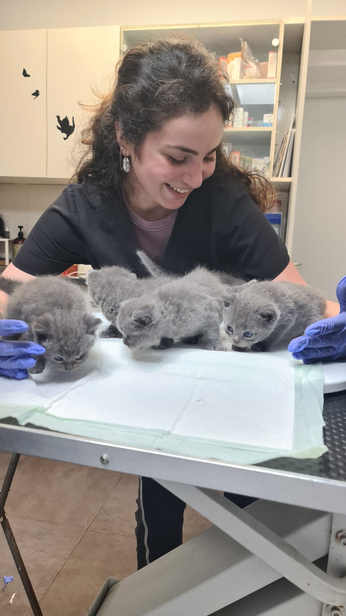 נויה מצוות מרפאת Pet Care בבת ים עם גורי חתולים על שולחן הבדיקה